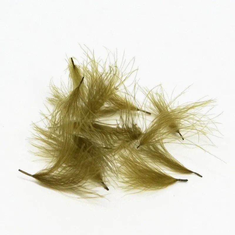 CDC CUL DE CANNARD OLIVE - Imagen 2