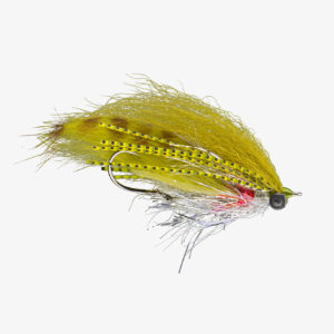 Mosca RIO Extrovert Olive